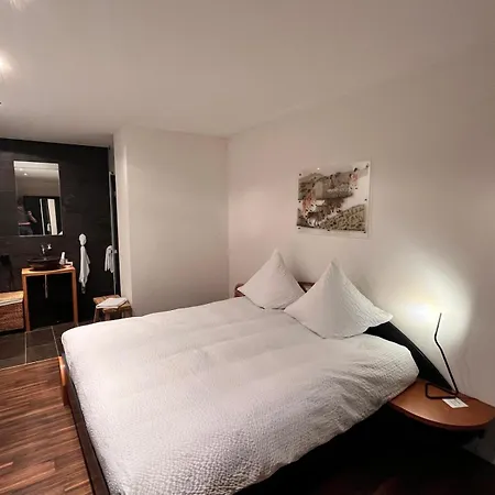 Deluxe Zimmer In Privatwohnung An Zentraler Lage Teufen Extérieur photo